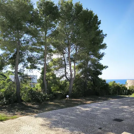 Giove-2 By Interhome Appartement Torre Vado
